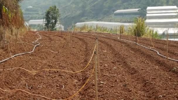 Bepflügtes Feld ist bereit für die Aussaat von Saatgut auf dem Land. Gemüse, ökologischer Landbau. Landwirtschaft und Agrarindustrie — Stockvideo