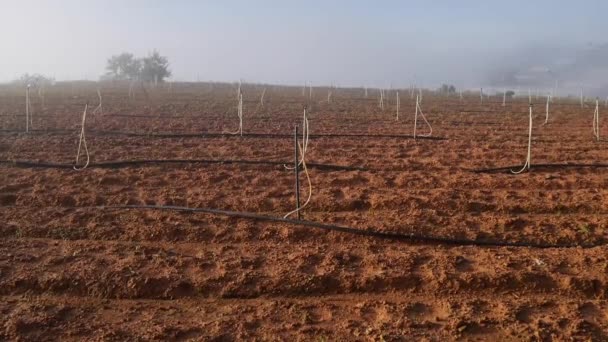 A szántott mező készen áll a vetőmagok vetésére a vidéken. Zöldségek, biogazdálkodás. Mezőgazdaság és agráripar — Stock videók