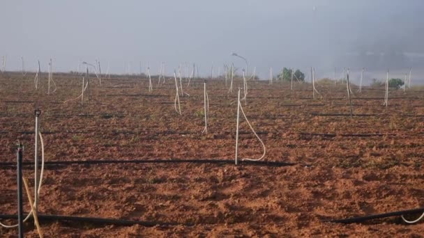 Bepflügtes Feld ist bereit für die Aussaat von Saatgut auf dem Land. Gemüse, ökologischer Landbau. Landwirtschaft und Agrarindustrie — Stockvideo