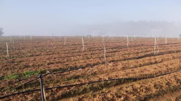 Campo arato è pronto per la semina in campagna. Ortaggi, agricoltura biologica. Agricoltura e agroalimentare — Video Stock