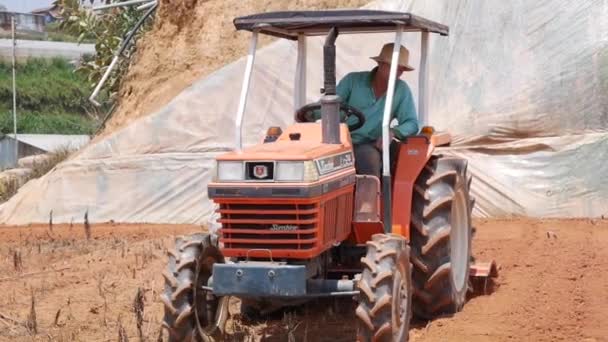 Traktor pflügt den staubigen trockenen Boden um und bereitet das Feld für die Aussaat vor. Biologischer Landbau. Landwirtschaft und Agrarindustrie. DALAT, VIETNAM - 26. Juni 2020 — Stockvideo