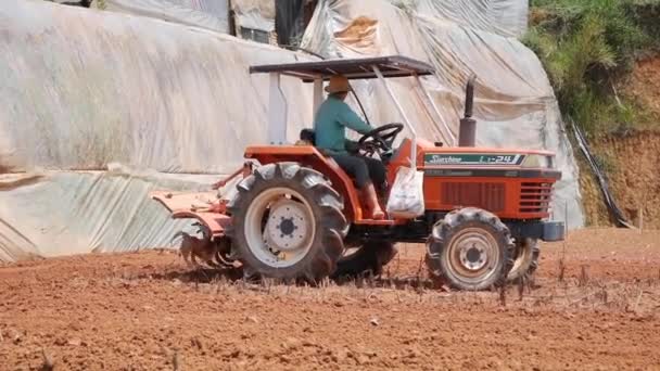 拖拉机在尘土飞扬的干旱土地上犁地,准备播种.有机耕作。农业和农产企业。DALAT, VIETNAM - JUNE 26, 2020 — 图库视频影像