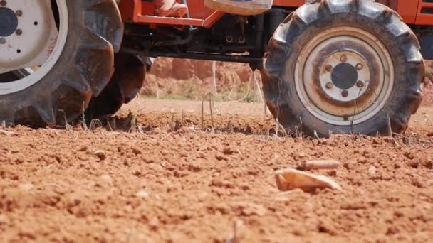 먼지투성이의 건조 한 토양을 쟁기질하고 씨를 뿌릴 밭을 준비 한다. 유기 농업. 농업과 농업. — 비디오