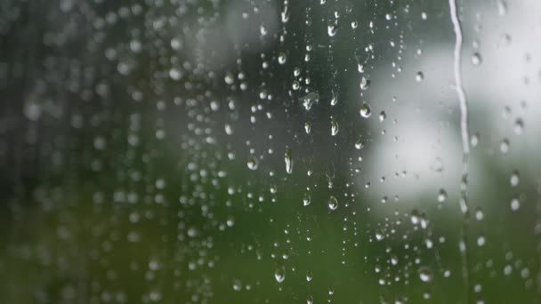 El agua de lluvia fuerte se descarga contra el vidrio de la ventana y fluye hacia abajo. Primer plano. Gotas de lluvia sobre fondo de vidrio en temporada de lluvias — Vídeos de Stock