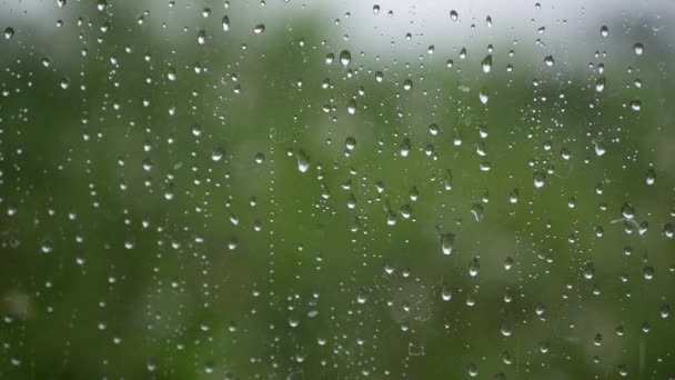 El agua de lluvia fuerte se descarga contra el vidrio de la ventana y fluye hacia abajo. Primer plano. Gotas de lluvia sobre fondo de vidrio en temporada de lluvias — Vídeos de Stock