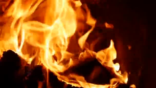近くに熱い暖炉の乾燥した薪の完全なショットを、暖かい居心地の良いレンガ造りの炉の暗闇の中で燃焼火災。薪が背景を焼きます。ストーブ加熱 — ストック動画