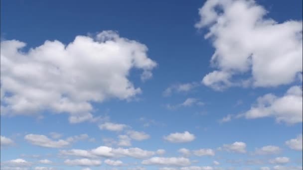 Синее небо белые облака. Пушистые пушистые белые облака. Временной отрезок кучевого облака. Летнее голубое небо. Драматическое величественное удивительное голубое небо. Мягкие белые облака формируются. Временной фон облаков — стоковое видео