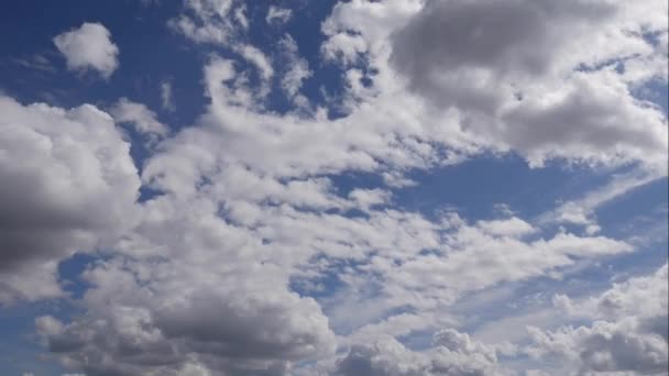 Blauwe lucht witte wolken. Gezwollen pluizige witte wolken. Cumulus wolk ontsnapping tijdspanne. Zomer blauwe hemel tijd vervalt. Dramatische majestueuze verbazingwekkende blauwe lucht. Zachte witte wolken vormen zich. Wolken time lapse achtergrond — Stockvideo