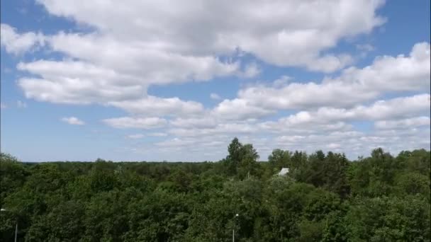 Kék égbolt, fehér felhők. Puffadt, bolyhos fehér felhők. Kumulus felhő scape timelapse. A nyári kék ég időeltolódása. Drámai fenséges csodálatos kék ég. Puha fehér felhők képződnek. Felhők idő lejárta háttér — Stock videók