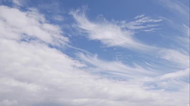 Cielo azul nubes blancas. Nubes blancas esponjosas e hinchadas. Nube cúmulo scape timelapse. Verano cielo azul lapso de tiempo. Dramático majestuoso increíble cielo azul. Se forman suaves nubes blancas. Nubes tiempo lapso de fondo — Vídeos de Stock