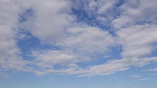 Niebieskie niebo białe chmury. Puszyste puszyste białe chmury. Cumulus chmura krajobraz timelapse. Czas letni błękitne niebo upływa. Dramatyczne, wspaniałe, błękitne niebo. Miękkie białe chmury tworzą. Chmury tło upływu czasu — Wideo stockowe