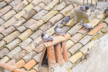 Chinchon, Madrid, İspanya eski kiremit çatılar. Tarihi kasaba Madrid yakınlarındaki Chinchon ana meydanda üst tarafındaki görüntülemek