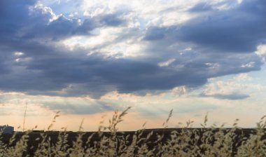 Cropfield gökyüzü bulutlar ve gün batımında güneş ışığı ile. renkli ve neşeli, duvar kağıdı veya doku