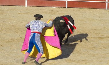 Torero ve boğa güreşi. Madrid, İspanya.