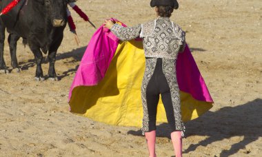 boğa güreşi, geleneksel İspanyol boğa mücadele bir matador nerede parti