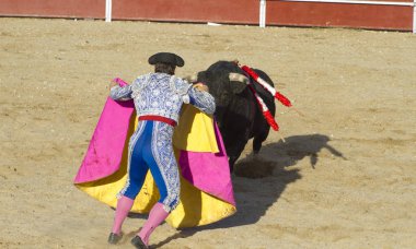Torero ve boğa güreşi. Madrid, İspanya.