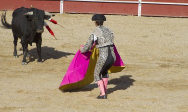 cesaret, boğa güreşi, geleneksel İspanyol boğa mücadele bir matador nerede parti