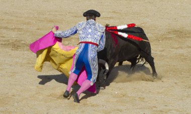 Torero, boğa güreşi, geleneksel İspanyol boğa mücadele bir matador nerede parti