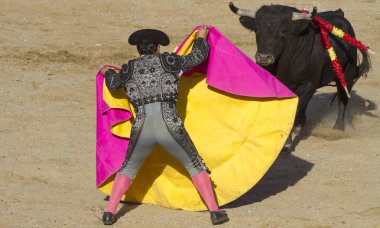 Torero ve boğa güreşi. Madrid, İspanya.