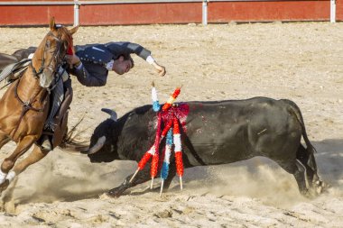 Madrid, İspanya - 10 Eylül 2010: boğa güreşi ile at nalı, rejoneadores olarak da bilinir. geleneksel İspanyol Festivali nerede cesur bir boğa kum adam karşı karşıya