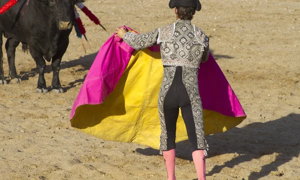 Luchador Corrida Toros Tradicional Fiesta Española Donde Matador Lucha Contra — Foto de Stock