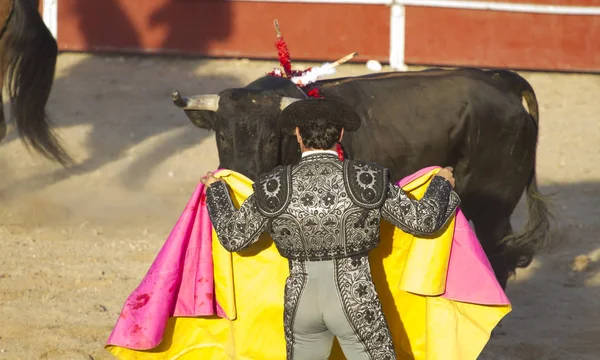 Torero Och Bull Tjurfäktningen Madrid Spanien — Stockfoto
