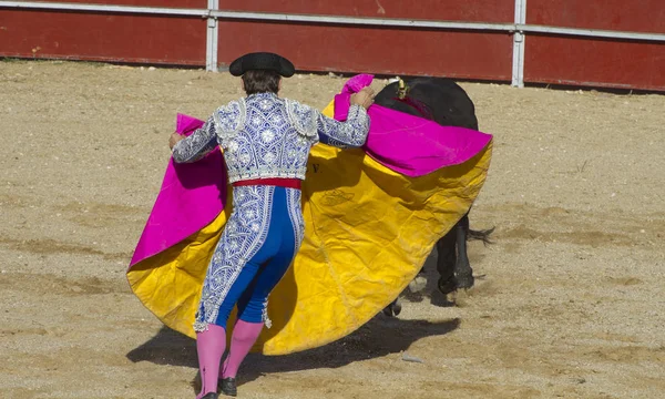 Tjurfäktning Traditionell Spansk Fest Där Matador Kämpar Tjur — Stockfoto