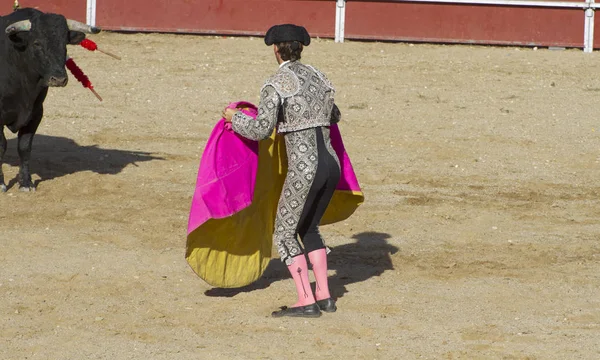Torero와 투우에서의 황소입니다 마드리드 스페인 — 스톡 사진