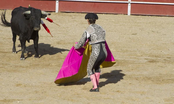 Θάρρος Ταυρομαχία Παραδοσιακά Ισπανικά Κόμμα Όπου Matador Καταπολέμηση Ταύρος — Φωτογραφία Αρχείου