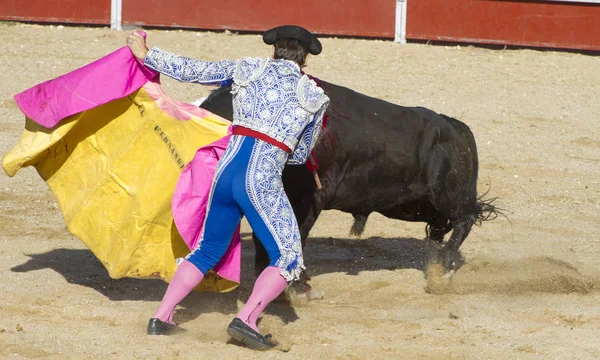 Toros Tjurfäktning Traditionell Spansk Fest Där Matador Kämpar Tjur — Stockfoto