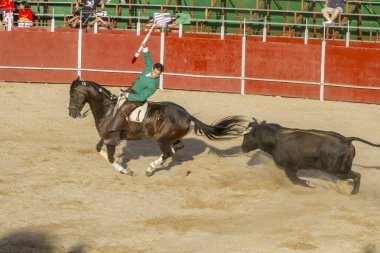 Madrid, İspanya - 10 Eylül 2010: boğa güreşi ile at nalı, rejoneadores olarak da bilinir. geleneksel İspanyol Festivali nerede cesur bir boğa kum adam karşı karşıya