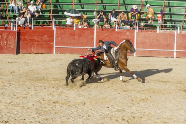 Madrid, İspanya - 10 Eylül 2010: boğa güreşi ile at nalı, rejoneadores olarak da bilinir. geleneksel İspanyol Festivali nerede cesur bir boğa kum adam karşı karşıya