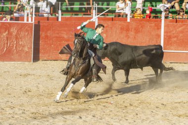 Madrid, İspanya - 10 Eylül 2010: boğa güreşi ile at nalı, rejoneadores olarak da bilinir. geleneksel İspanyol Festivali nerede cesur bir boğa kum adam karşı karşıya