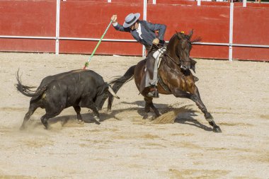 Madrid, İspanya - 10 Eylül 2010: boğa güreşi ile at nalı, rejoneadores olarak da bilinir. geleneksel İspanyol Festivali nerede cesur bir boğa kum adam karşı karşıya