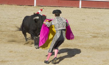 Eğlence güreşi, geleneksel İspanyol boğa mücadele bir matador nerede parti