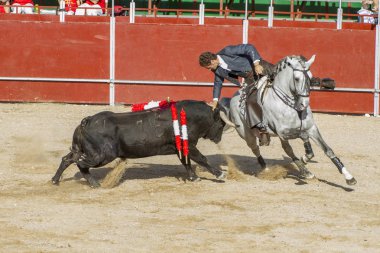 Madrid, İspanya - 10 Eylül 2010: boğa güreşi ile at nalı, rejoneadores olarak da bilinir. geleneksel İspanyol Festivali nerede cesur bir boğa kum adam karşı karşıya