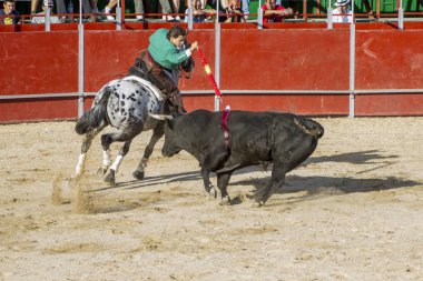 Madrid, İspanya - 10 Eylül 2010: boğa güreşi ile at nalı, rejoneadores olarak da bilinir. geleneksel İspanyol Festivali nerede cesur bir boğa kum adam karşı karşıya