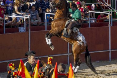 Madrid, İspanya - 10 Eylül 2010: boğa güreşi ile at nalı, rejoneadores olarak da bilinir. geleneksel İspanyol Festivali nerede cesur bir boğa kum adam karşı karşıya