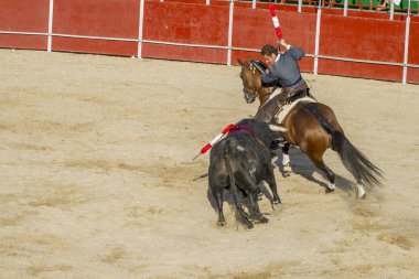 Madrid, İspanya - 10 Eylül 2010: boğa güreşi ile at nalı, rejoneadores olarak da bilinir. geleneksel İspanyol Festivali nerede cesur bir boğa kum adam karşı karşıya