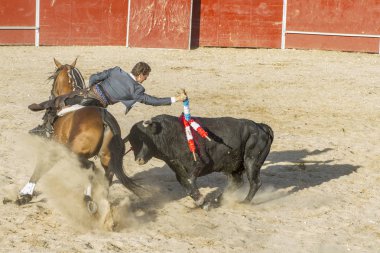 Madrid, İspanya - 10 Eylül 2010: boğa güreşi ile at nalı, rejoneadores olarak da bilinir. geleneksel İspanyol Festivali nerede cesur bir boğa kum adam karşı karşıya