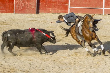 Madrid, İspanya - 10 Eylül 2010: boğa güreşi ile at nalı, rejoneadores olarak da bilinir. geleneksel İspanyol Festivali nerede cesur bir boğa kum adam karşı karşıya