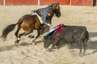 Madrid, İspanya - 10 Eylül 2010: boğa güreşi ile at nalı, rejoneadores olarak da bilinir. geleneksel İspanyol Festivali nerede cesur bir boğa kum adam karşı karşıya