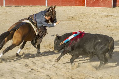 Madrid, İspanya - 10 Eylül 2010: boğa güreşi ile at nalı, rejoneadores olarak da bilinir. geleneksel İspanyol Festivali nerede cesur bir boğa kum adam karşı karşıya