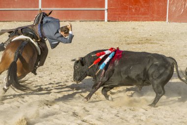 Madrid, İspanya - 10 Eylül 2010: boğa güreşi ile at nalı, rejoneadores olarak da bilinir. geleneksel İspanyol Festivali nerede cesur bir boğa kum adam karşı karşıya