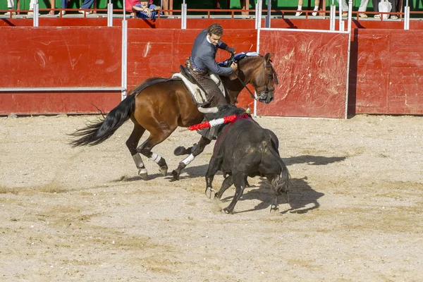 Madrid Hiszpania Września 2010 Walka Byków Końmi Znany Również Jako — Zdjęcie stockowe