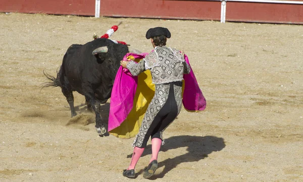 Underhållning Tjurfäktning Traditionell Spansk Fest Där Matador Kämpar Tjur — Stockfoto