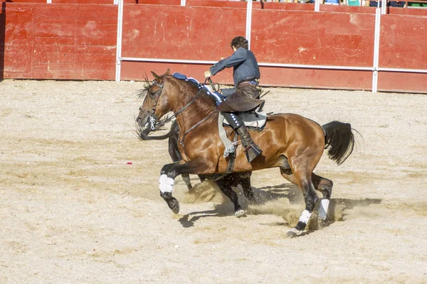 Madrid Spagna Settembre 2010 Corrida Con Cavalli Conosciuta Anche Come — Foto Stock