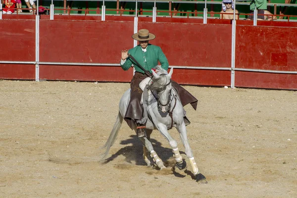 Madrid Hiszpania Września 2010 Walka Byków Końmi Znany Również Jako — Zdjęcie stockowe