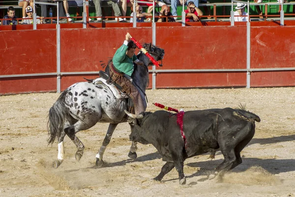 Madrid, İspanya - 10 Eylül 2010: boğa güreşi ile at nalı, rejoneadores olarak da bilinir. geleneksel İspanyol Festivali nerede cesur bir boğa kum adam karşı karşıya