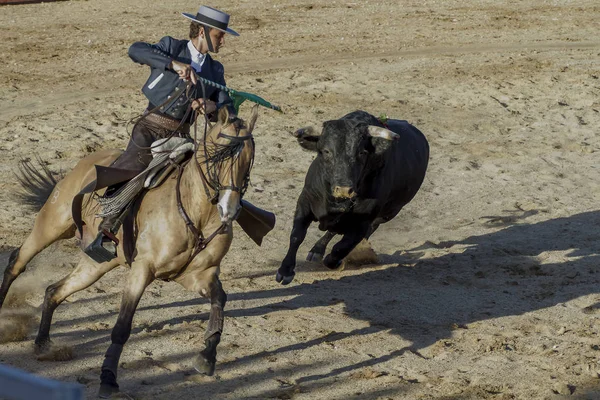 Madrid España Septiembre 2010 Corridas Toros Con Caballos También Conocidos —  Fotos de Stock